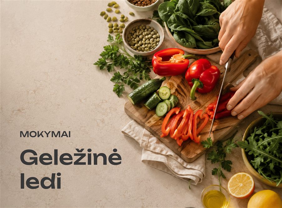 Geležinė ledi