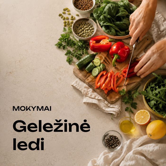 Geležinė ledi